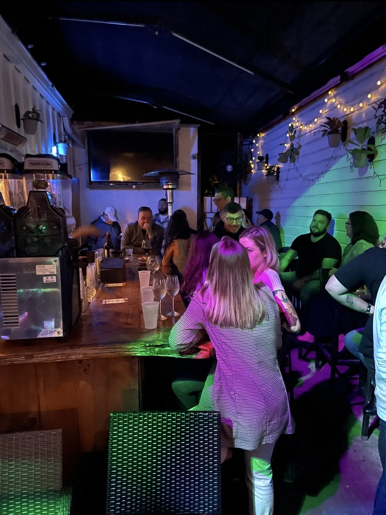 Crowd at the outdoor bar at GreenHouse in New Hope, PA, under string lights and coloured DJ lighting