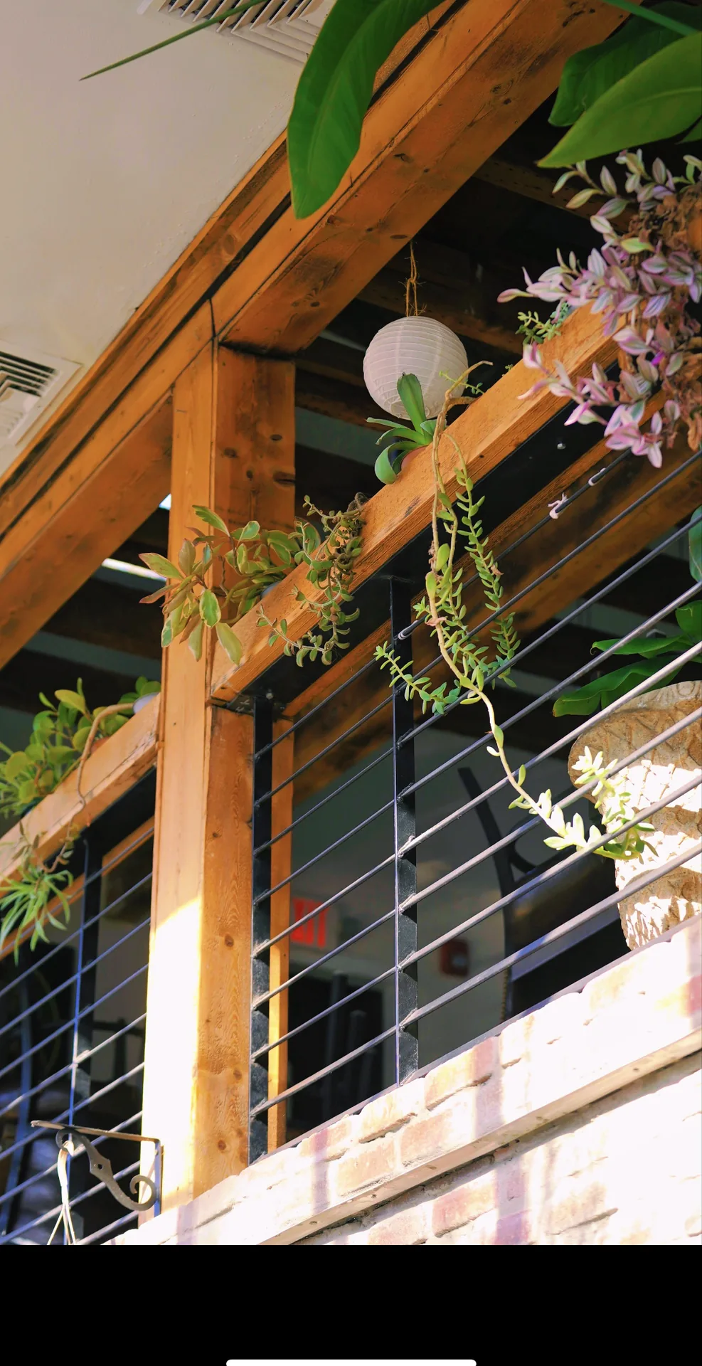 Reclaimed wood beams and hanging plants in the upstairs Loft at GreenHouse in New Hope, PA